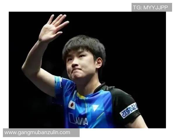 波尔与张本智和精彩对决全程录像回放分析与解读