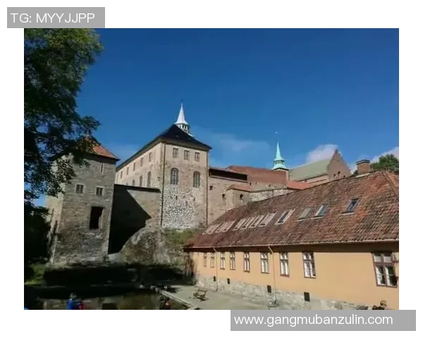 哥德堡与哥本哈根比赛结果分析及比分预测详解 哥德堡与哥本哈根比赛结果分析及比分预测详解