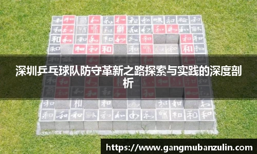 深圳乒乓球队防守革新之路探索与实践的深度剖析