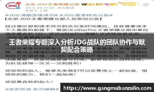 王者荣耀专题深入分析JDG战队的团队协作与默契配合策略